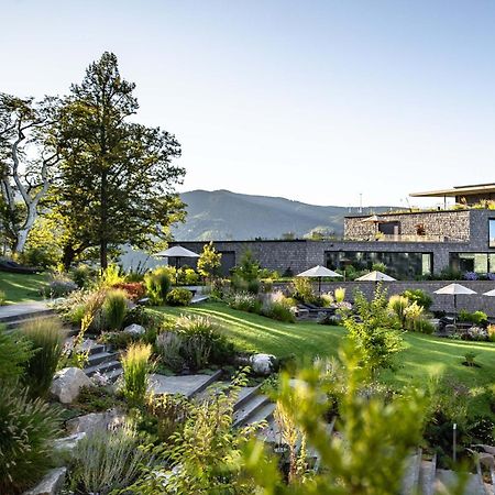 Luisenhoehe - Gesundheitsresort Schwarzwald Horben Kültér fotó